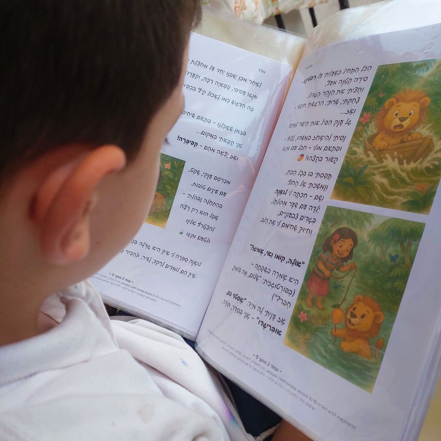 ילד קורא מכתב מלביא האריה שבברזיל